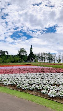 牧歌の里に投稿された画像（2023/8/23）