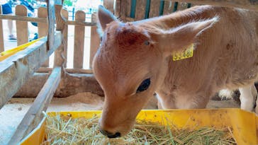 牧歌の里に投稿された画像（2023/8/23）