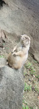 ひらかたパークに投稿された画像（2023/8/23）