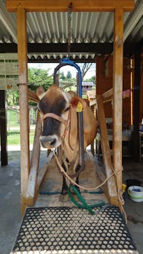 まかいの牧場に投稿された画像（2023/8/23）