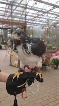 富士花鳥園に投稿された画像（2023/8/23）