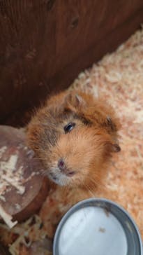 富士花鳥園に投稿された画像（2023/8/23）