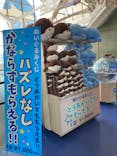 アクアワールド茨城県大洗水族館に投稿された画像（2023/8/23）