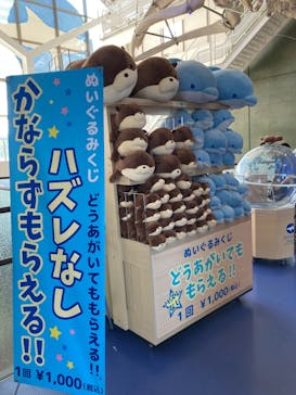 アクアワールド茨城県大洗水族館に投稿された画像（2023/8/23）