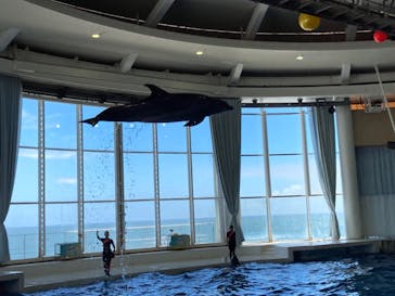 アクアワールド茨城県大洗水族館に投稿された画像（2023/8/23）