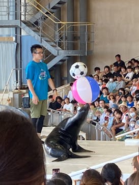 アクアワールド茨城県大洗水族館に投稿された画像（2023/8/23）