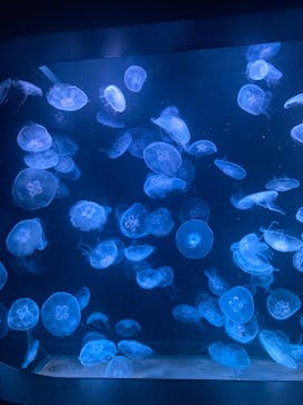 AOAO SAPPOROに投稿された画像（2023/8/23）