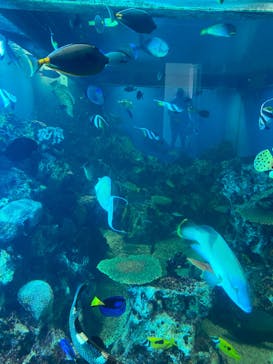 越前松島水族館に投稿された画像（2023/8/23）