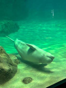 名古屋港水族館に投稿された画像（2023/8/23）