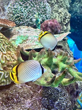 名古屋港水族館に投稿された画像（2023/8/23）