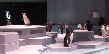 AOAO SAPPOROに投稿された画像（2023/8/23）