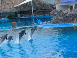 名古屋港水族館に投稿された画像（2023/8/23）