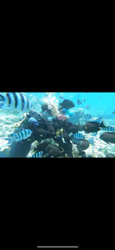 武藤潜水に投稿された画像（2023/8/23）