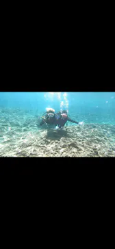 武藤潜水に投稿された画像（2023/8/23）