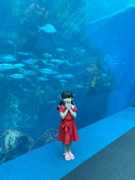 環境水族館アクアマリンふくしまに投稿された画像（2023/8/23）