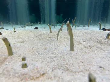 すみだ水族館に投稿された画像（2023/8/23）