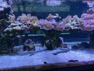 すみだ水族館に投稿された画像（2023/8/23）