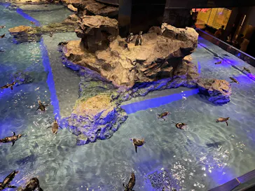 すみだ水族館に投稿された画像（2023/8/23）