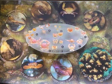 国立科学博物館に投稿された画像（2023/8/23）