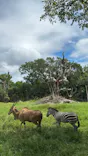 天王寺動物園に投稿された画像（2023/8/23）