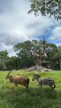 天王寺動物園に投稿された画像（2023/8/23）