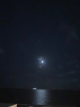 新江ノ島水族館に投稿された画像（2023/8/23）