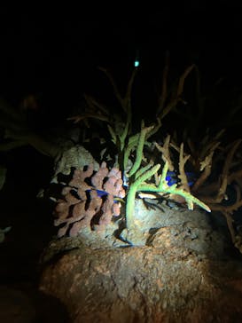 新江ノ島水族館に投稿された画像（2023/8/23）