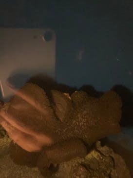 新江ノ島水族館に投稿された画像（2023/8/23）