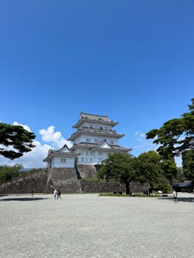 小田原城に投稿された画像（2023/8/21）