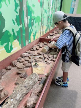 JOYPOLIS 特別イベントスペースに投稿された画像（2023/8/23）