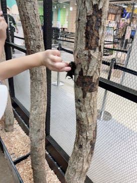 JOYPOLIS 特別イベントスペースに投稿された画像（2023/8/23）