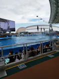 名古屋港水族館に投稿された画像（2023/8/23）
