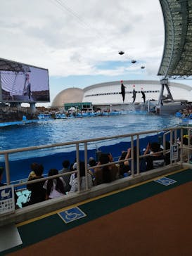 名古屋港水族館に投稿された画像（2023/8/23）