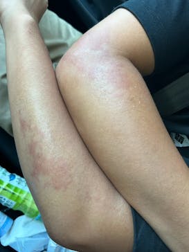 Sea World（シーワールド）に投稿された画像（2023/8/23）