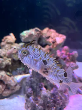 マクセル アクアパーク品川に投稿された画像（2023/8/23）