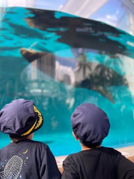 サンシャイン水族館に投稿された画像（2023/8/23）