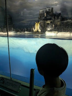 名古屋港水族館に投稿された画像（2023/8/23）
