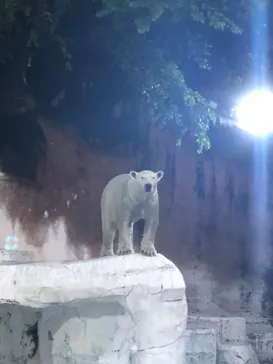 天王寺動物園に投稿された画像（2023/8/23）