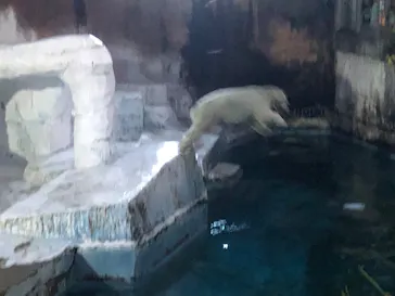 天王寺動物園に投稿された画像（2023/8/23）