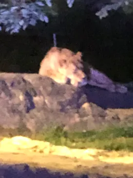 天王寺動物園に投稿された画像（2023/8/23）