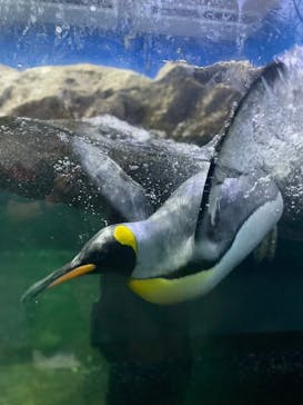 南知多ビーチランド＆南知多おもちゃ王国に投稿された画像（2023/8/23）