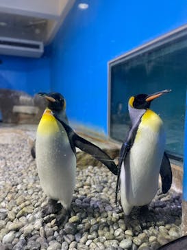 南知多ビーチランド＆南知多おもちゃ王国に投稿された画像（2023/8/23）