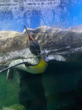 南知多ビーチランド＆南知多おもちゃ王国に投稿された画像（2023/8/23）