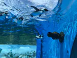 サンシャイン水族館に投稿された画像（2023/8/24）