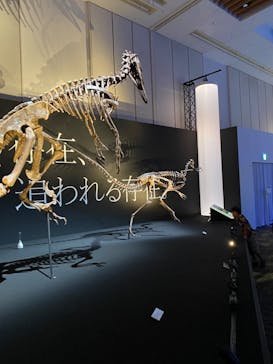 DinoScience 恐竜科学博 2023@TOKYO MIDTOWNに投稿された画像（2023/8/23）