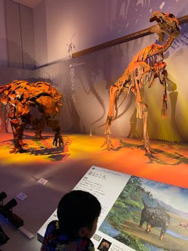 DinoScience 恐竜科学博 2023@TOKYO MIDTOWNに投稿された画像（2023/8/23）