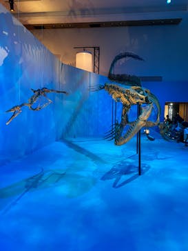 DinoScience 恐竜科学博 2023@TOKYO MIDTOWNに投稿された画像（2023/8/23）