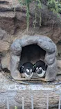 サンシャイン水族館に投稿された画像（2023/8/24）