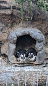 サンシャイン水族館に投稿された画像（2023/8/23）