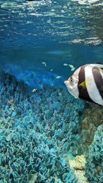 サンシャイン水族館に投稿された画像（2023/8/23）